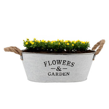 DK Design plantenpot/bloempot teil Jardin- zink - wit - L30 x D20 x H12 cm - Plantenbakken