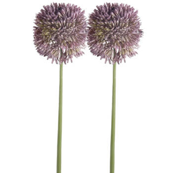 Emerald Allium/Sierui kunstbloem - 2x - losse steel - lila paars - 65 cm - Natuurlijke uitstraling - Kunstbloemen