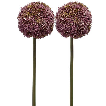 Emerald Allium/Sierui kunstbloem - 2x - losse steel - paars - 75 cm - Natuurlijke uitstraling - Kunstbloemen