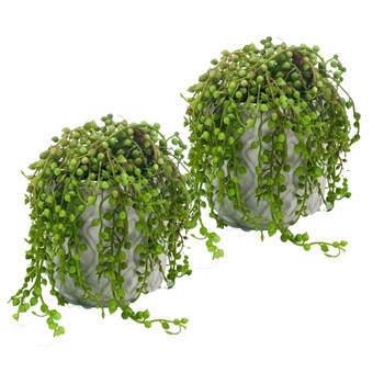 Kunstplant Senecio/erwtenplant - 2x - groen - in pot - 27 cm - hangplant - Kunstplanten