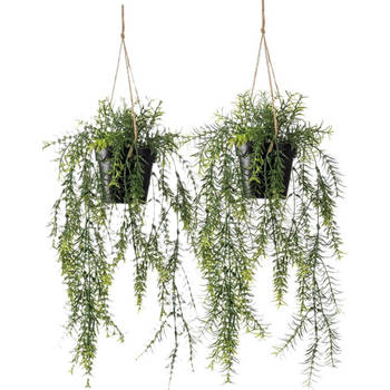 Emerald kunstplant/hangplant - 2x - Asparagus - groen - 50 cm lang - Kunstplanten
