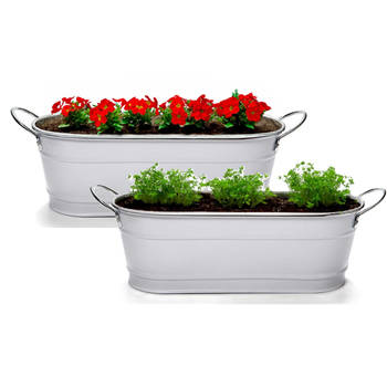 Arte r plantenpot/bloempot teil- 2x - zink - wit - L32,5 x D10,5 x H11 cm - Plantenpotten