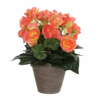 Mica Decorations Kunstplant Begonia - zalmroze - 30 cm - Kunstplanten