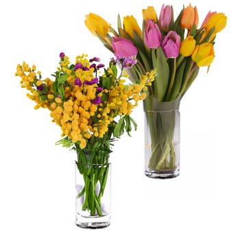 Bloemenvaas Anna - 2x - helder transparant glas - D11,5 x H20 - decoratieve vaas - bloemen/takken - Vazen