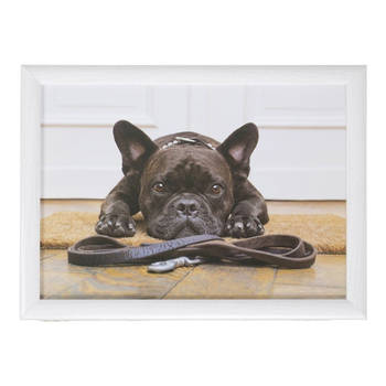 Laptray/schoottafel schattige Franse bulldog honden print 43 x 33 cm - Dienbladen