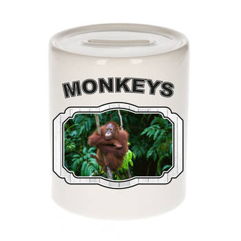 Dieren liefhebber orangoetan spaarpot - apen cadeau - Spaarpotten