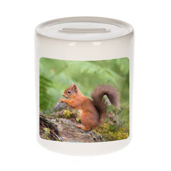 Foto eekhoorntje spaarpot 9 cm - Cadeau eekhoorntjes liefhebber - Spaarpotten