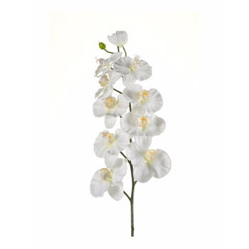 Phalaenopsis kunst tak 100 cm wit - Kunstbloemen