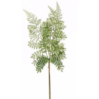 Groene bosvaren kunsttak 58 cm - Kunstbloemen