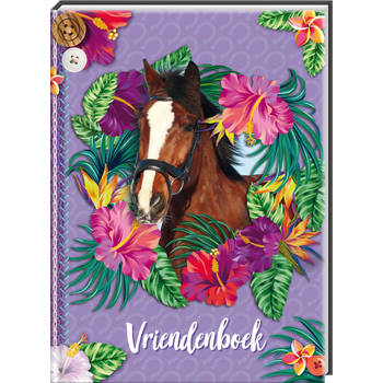 Image Books Vriendenboek Paarden. 4+