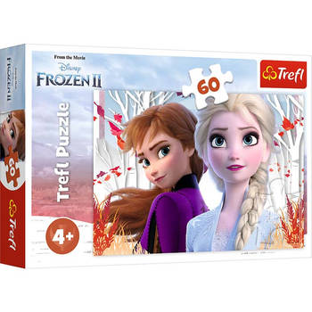 Trefl Trefl 60 - De betoverde wereld van Anna en Elsa / Disney Fro