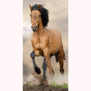 Animal Pictures Paard - Strandlaken - 70 x 140 cm - Multi