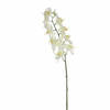 Mica Decorations Kunstbloem Orchidee tak - wit - 71 cm - Kunst zijdebloemen - Kunstbloemen