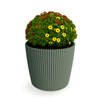 Prosperplast Plantenpot/bloempot Buckingham - kunststof - dennen groen - 23 x 21 cm - Plantenpotten
