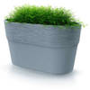 Prosperplast Plantenpot/bloempot Windsor - kunststof - lichtgrijs - L28 x B15 x H15 cm - Plantenpotten