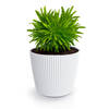 Prosperplast Plantenpot/bloempot Buckingham - kunststof - ivoor wit - D17 x H15 cm - Plantenpotten