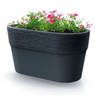 Prosperplast Plantenpot/bloempot Windsor - kunststof - antraciet - L28 x B15 x H15 cm - Plantenpotten