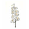 Kunstbloem - Orchidee - op tak - 100 cm - wit - sier - decoratie bloemen - Kunstbloemen