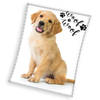 Animal Pictures Fleeceplaid Labrador - 150 x 200 cm - Coral Fleece