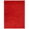 vidaXL Vloerkleed OVIEDO laagpolig 240x340 cm rood