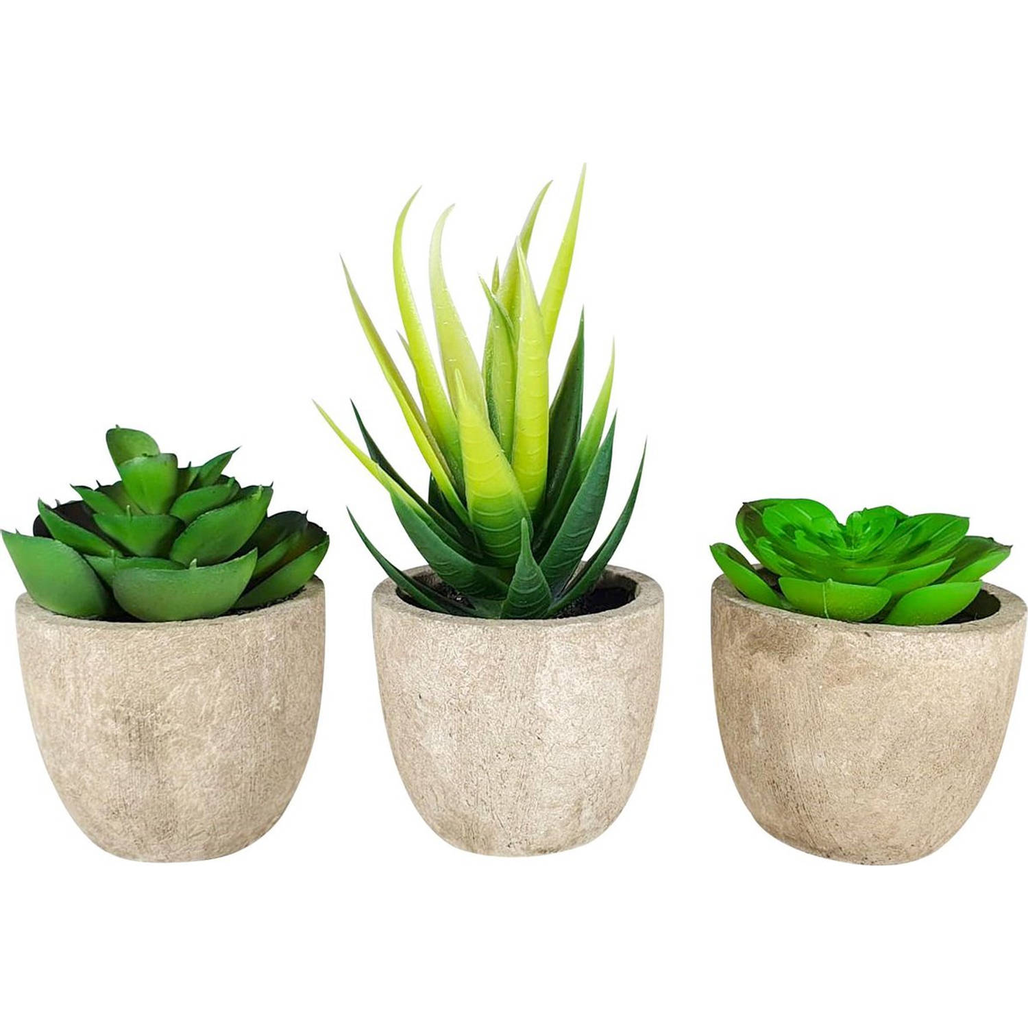 3 stuks Kunstplanten - Kamerplanten - Nep planten - Vetplanten - Cadeautip