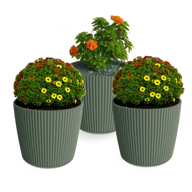 Prosperplast Plantenpot/bloempot Buckingham - 3x - kunststof - dennengroen - D14 x H13 cm - Plantenpotten