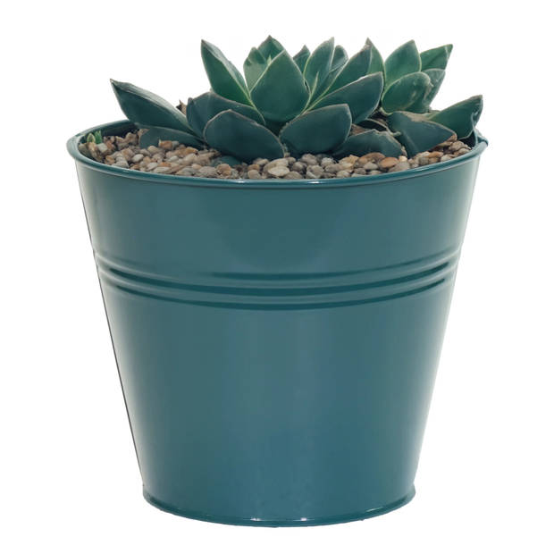 Mega Collections plantenpot/bloempot Bob - 4x - zink - zeegroen - D13 X H12 cm - IJzeren emmer / teil