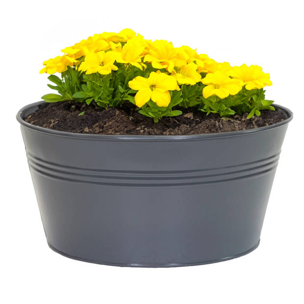 Mega Collections plantenpot/bloempot Bob - zink - antraciet - D25 X H12 cm - IJzeren emmer / teil