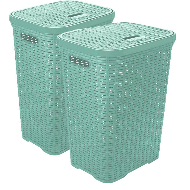 Hega Hogar Wasmand met deksel Rotan - 2x - mintgroen - kunststof - 60L - 34 x 43 x 62 cm - Wasmanden