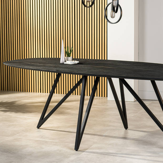 Dotan eettafel ovaal 240x110 cm - zwart