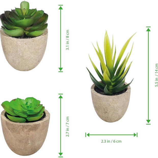 GreenDream® 3 stuks Kunstplanten - Nep planten Vetplanten - Cadeautip