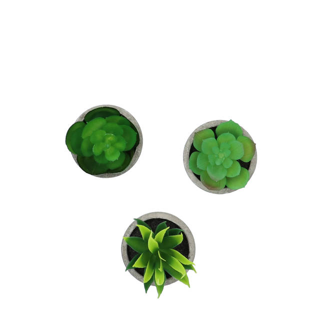 GreenDream® 3 stuks Kunstplanten - Nep planten Vetplanten - Cadeautip