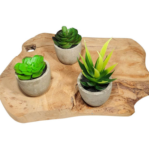 GreenDream® 3 stuks Kunstplanten - Nep planten Vetplanten - Cadeautip