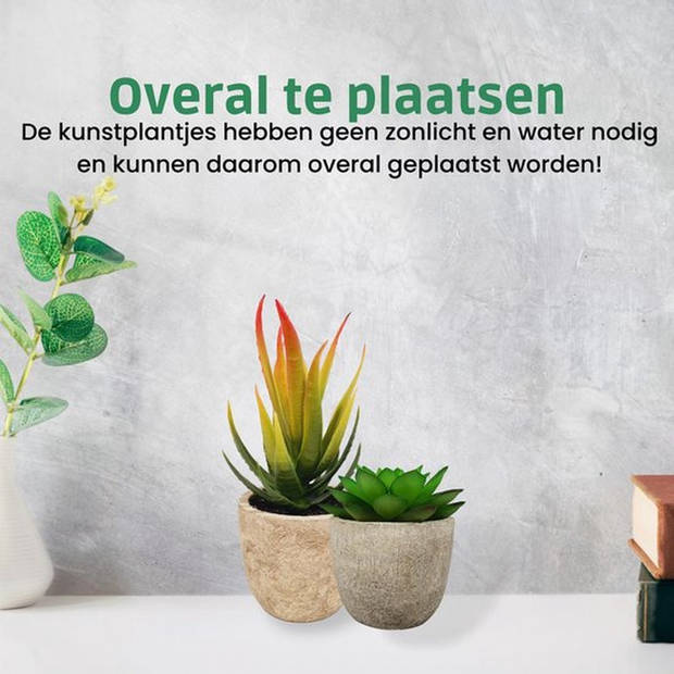 GreenDream® 3 stuks Kunstplanten - Nep planten Vetplanten - Cadeautip