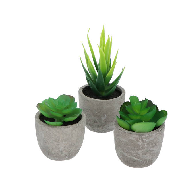 GreenDream® 3 stuks Kunstplanten - Nep planten Vetplanten - Cadeautip