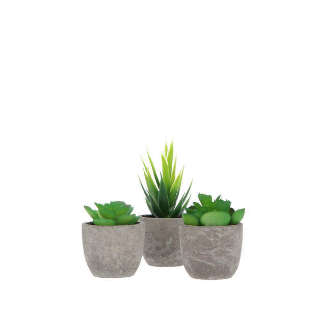 GreenDream® 3 stuks Kunstplanten - Nep planten Vetplanten - Cadeautip