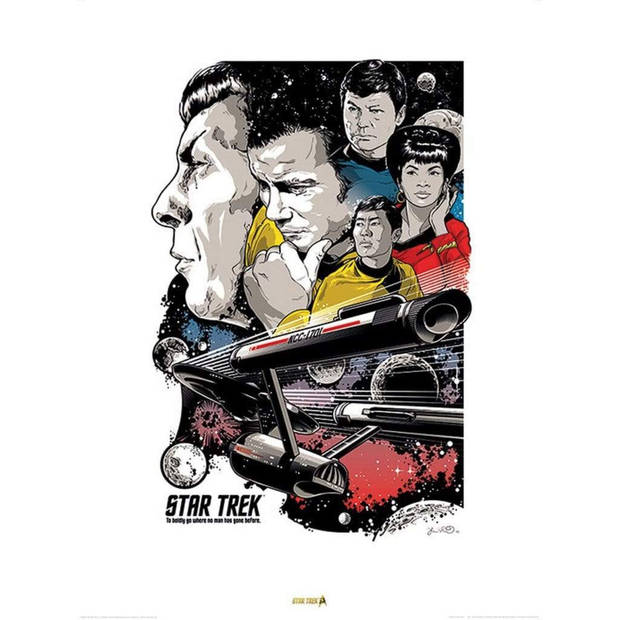 Kunstdruk Star Trek Boldly Go 50th Anniversary 60x80cm