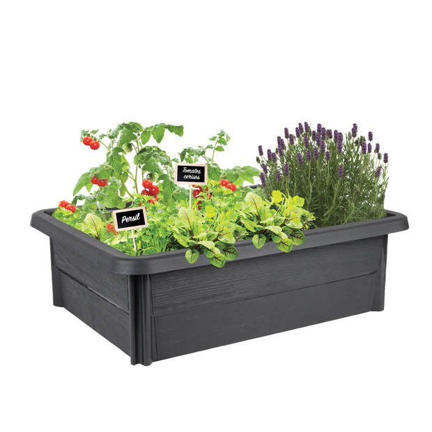 EDA grondkweekbak - 67liter- 79 x 59 x24,2 cm voor balkon, terras of tuin Antraciet