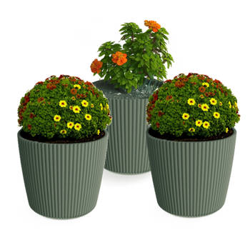 Prosperplast Plantenpot/bloempot Buckingham - 3x - kunststof - dennen groen - D17 x H15 cm - Plantenpotten
