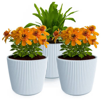 Prosperplast Plantenpot/bloempot Buckingham - 3x - kunststof - lichtgrijs - D14 x H13 cm - Plantenpotten