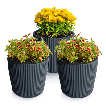 Prosperplast Plantenpot/bloempot Buckingham - 3x - kunststof - antraciet - D17 x H15 cm - Plantenpotten