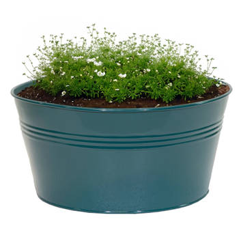 Mega Collections plantenpot/bloempot Bob - zink - zeegroen - D25 X H12 cm - IJzeren emmer / teil