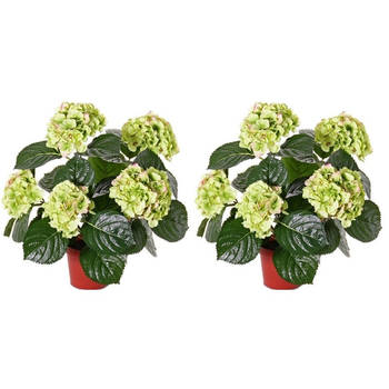 2x Hortensia kunstbloemen groen/roze 36 cm - Kunstplanten