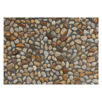 MD Entree - Schoonloopmat - Eco Design - Pebble Beach - 50 x 75 cm