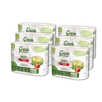 Grazie Natural 2-laags keukenrol - 12 rollen - recycled drankkarton - Sterk Absorberend - Slijtvast - Pluisvrij