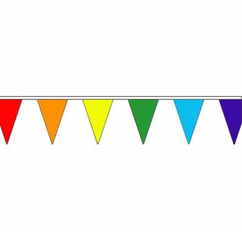Regenboog slinger met puntvlaggetjes 20 meter - Vlaggenlijnen