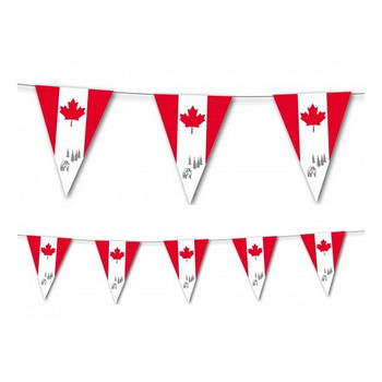 Canadese vlaggenlijn 3,5 meter - Vlaggenlijnen