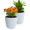 Prosperplast Plantenpot/bloempot Buckingham - 2x - kunststof - lichtgrijs - D14 x H13 cm - Plantenpotten