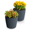 Prosperplast Plantenpot/bloempot Buckingham - 2x - kunststof - antraciet - 23 x 21 cm - Plantenpotten