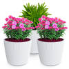 Prosperplast Plantenpot/bloempot Buckingham - 3x - kunststof - ivoor wit - D17 x H15 cm - Plantenpotten